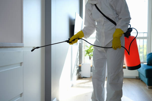 Best Toxic Mold Removal  in Latta, OK